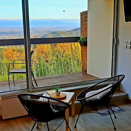 Studio Avec Sauna Au Calme A 15 Min De Colmar Trois-Épis Exterior foto